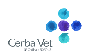 logo cerba